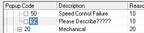 Definition of  99 Custom Value prompt