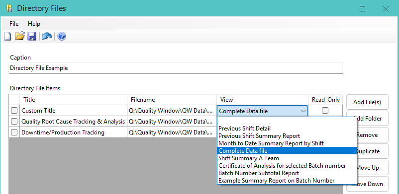 DIR file configuration with default view selection